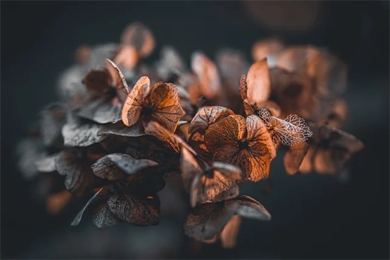 憧憬美好未来的句子 憧憬未来的句子简短