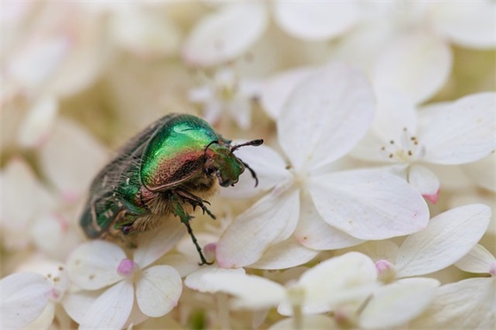 2025年腊八节暖心句子 腊八节句子