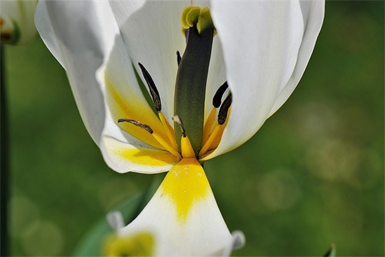 一种年龄,一种心境,一种领悟 致自己一路走来的句子