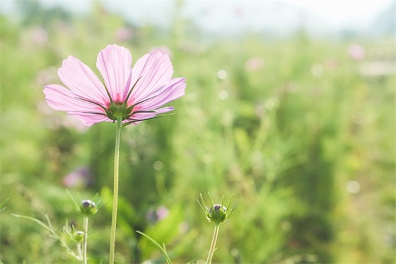 初三霸气励志的句子
