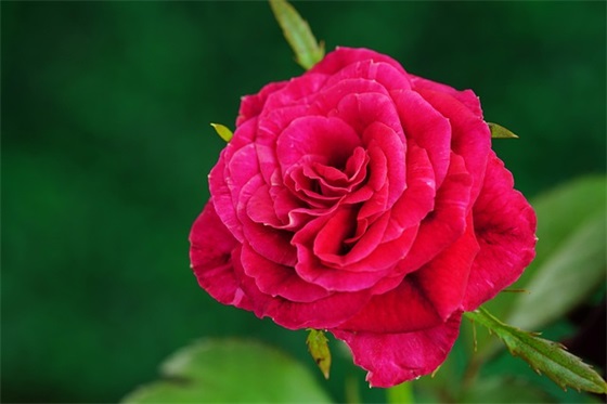 非主流颓废伤感句子110句