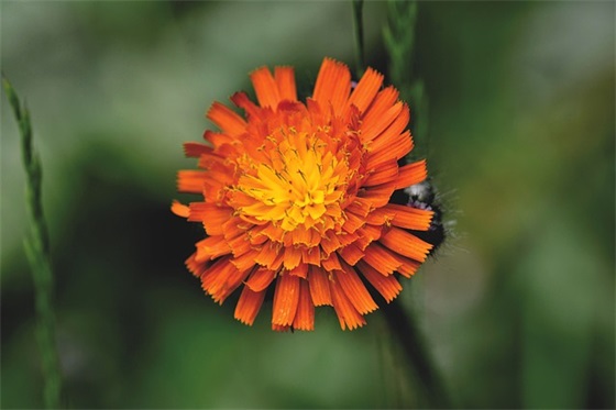 高傲孤僻的快手清冷单身网名(196个)