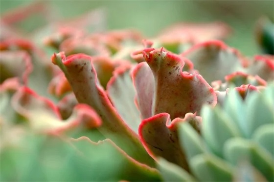 带航字的公司名称大全 有航字的两个字公司名