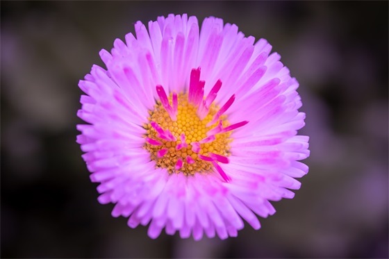 女生高冷腹黑的网名180个，霸气高冷女神昵称好听的