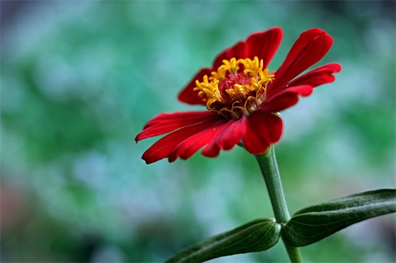 伤感抖音昵称名字大全(466个)