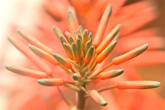 给女朋友备注骚气的昵称(共197个)