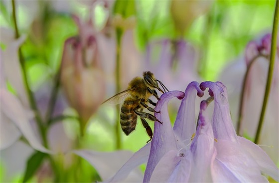 以M开头的最酷的女士英文名 [52个]