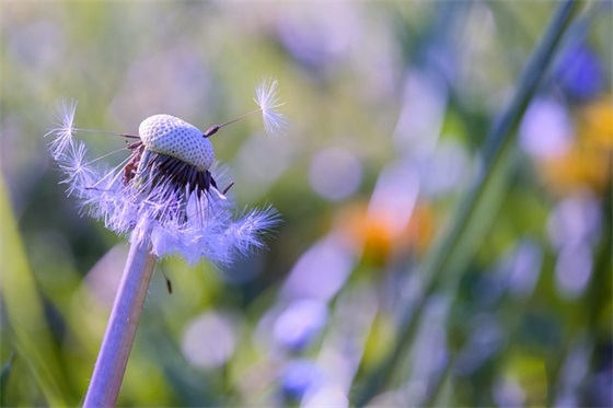 五言绝句当游戏名字(共176个)
