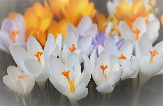 2026女生网名大全(190个)