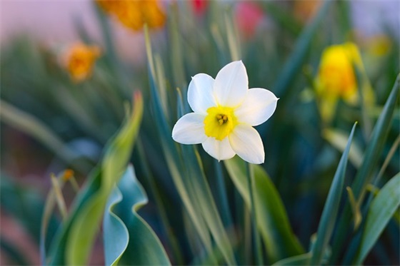 好听又好看的男生繁体字昵称大全(182个)