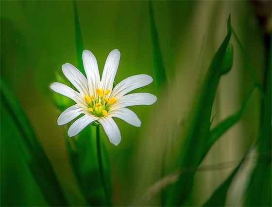 古诗词中截取的网名