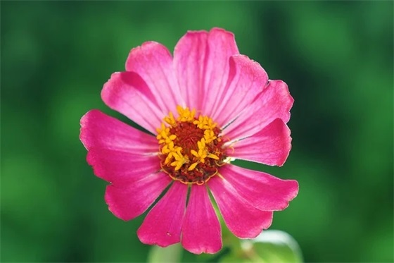 有个性的女孩子名字(共257个)