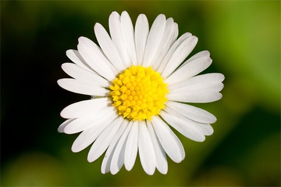 守护一生温馨网名(优选185个)