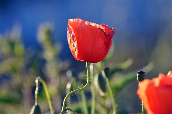 最吸引人男生的昵称女(优选188个)