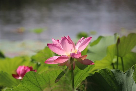 四个字独特好听名字(179个)