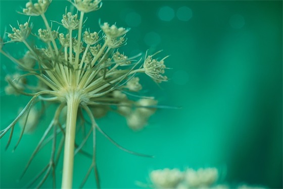 dota2霸气游戏名(共189个)