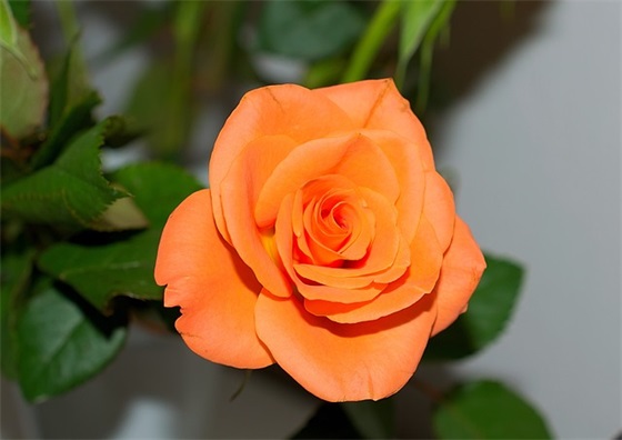 好听简洁的qq女生网名大全(精选187个)