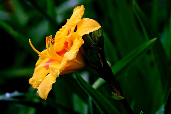 神武女生网络游戏名字简单干净（冷门且高级的神武女生网络游戏名字）