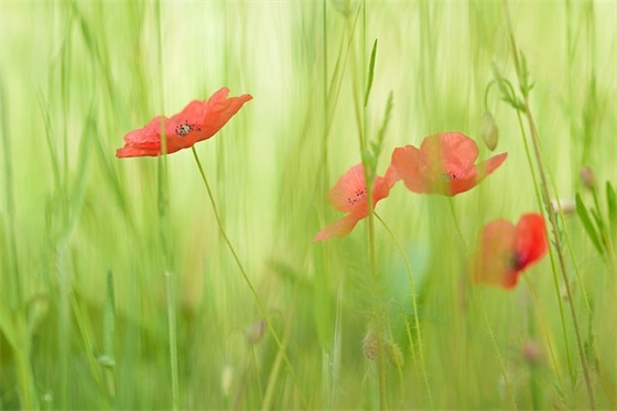 简单的游戏昵称女生简短好听带符号（精华）