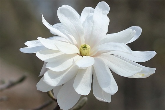 即将上初中的家长寄语简短 【即将升入初中家长对孩子说的话】