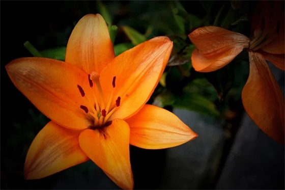 家长给孩子的寄语大全简短的30字 【家长给孩子寄语怎么说】