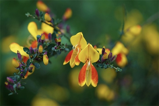 毕业寄语小学六年级写给老师 【毕业赠言6年级写给老师】