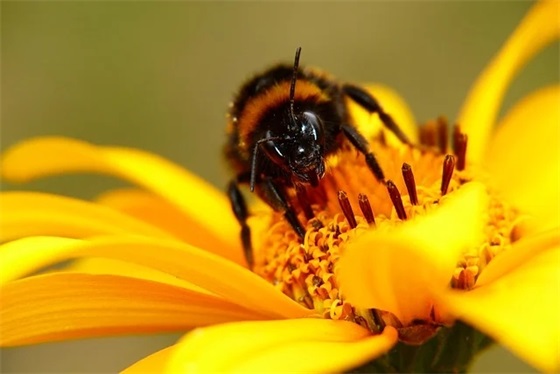 孩子一周岁的父母寄语 【孩子一周岁父母的祝福】