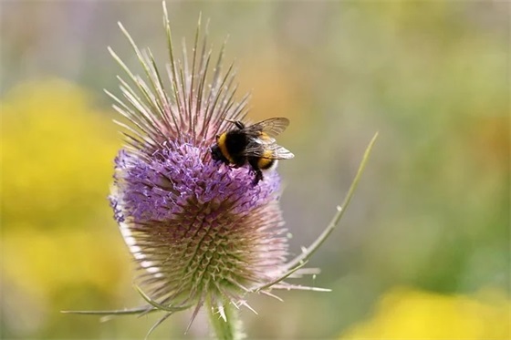 家长初一新生开学寄语简短 【家长初一新生开学寄语简短班主任】