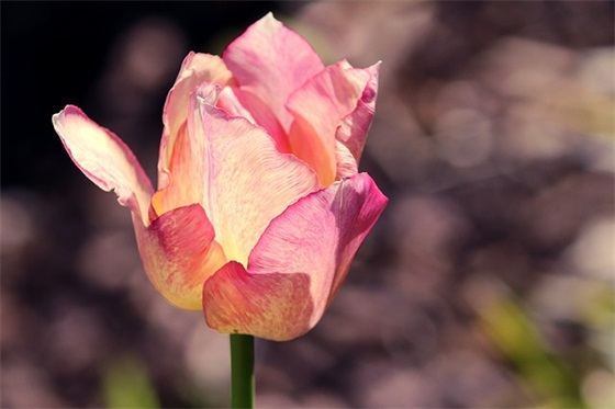 中考毕业老师对学生的寄语 【中考毕业老师评语】