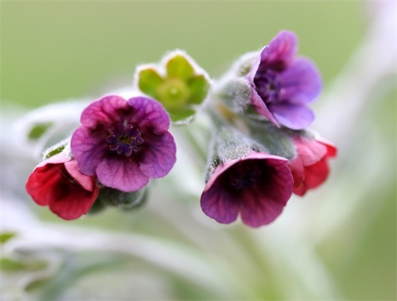 高中学生寄语 【高中学生寄语家长怎么写简短】