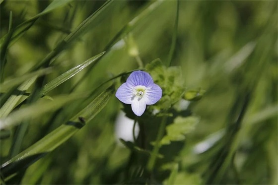家长的鼓励和希望寄语大学生 【家长对大学生寄语大全简短的】