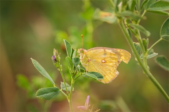 领导鼓励寄语 【领导鼓励的话叫什么】