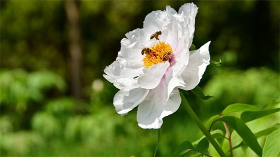 父母对初中毕业孩子的成长寄语和期望 【初中毕业家长对孩子的期望和希望】