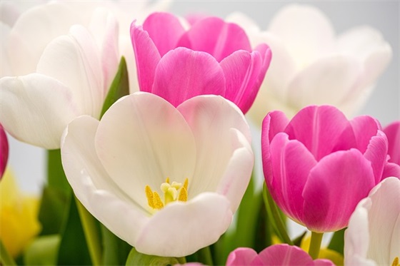 给孩子阅读的寄语 【写给孩子阅读的寄语】