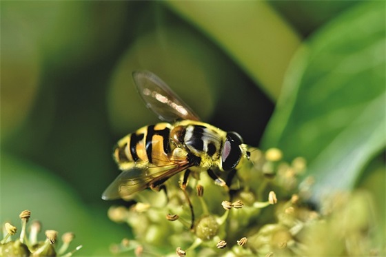 给上小学孩子的寄语 【对于上小学孩子的寄语】