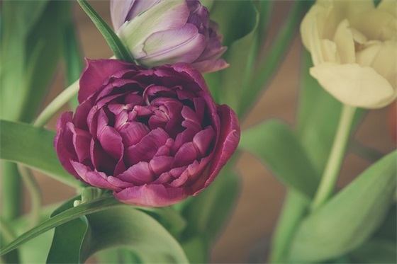 学生会对新成员的寄语 【对学生会新成员说的话】