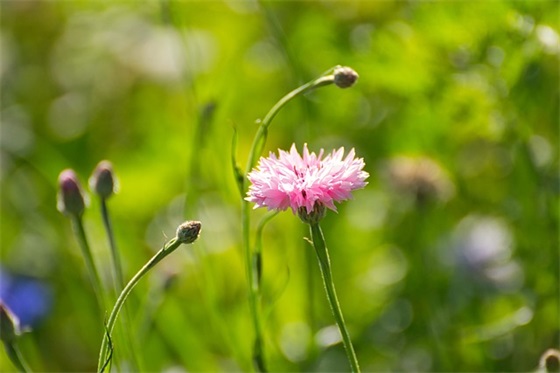 一个学期对孩子的寄语 【一个学期对孩子的寄语和期望】