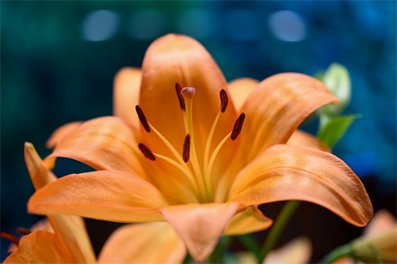 寄语或鼓励的话 【高考100天寄语或鼓励的话】