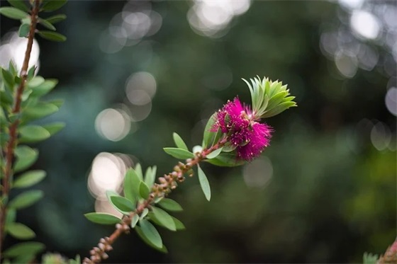 幼儿园大班学期末家长寄语-50句