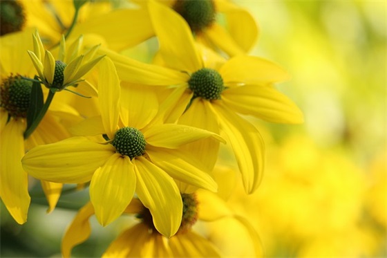 八年级毕业寄语大全 【八年级学生毕业寄语】