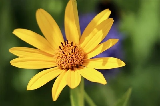 小学毕业生寄语老师给学生 【小学毕业生老师对学生的寄语】