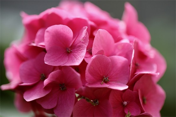 绝美人生励志句子98句