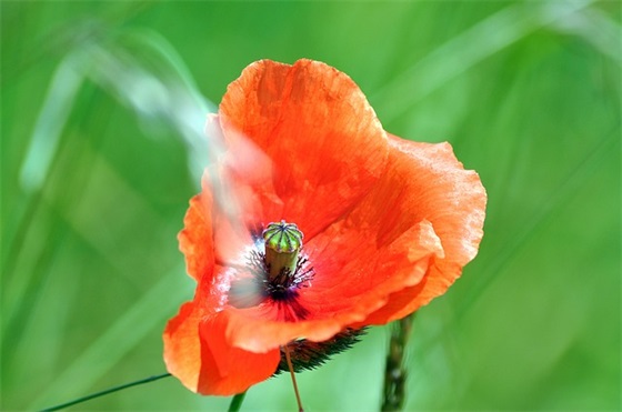 让对方看到心疼的短句 把爱默默放心底的句子