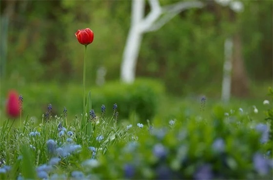 关于佛教的句子90句