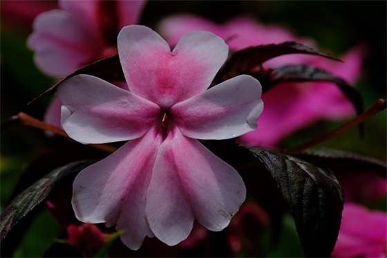 关于吵架的文案(吵架文案的短句子)