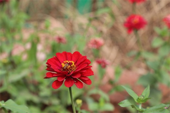 伤感动漫句子97句