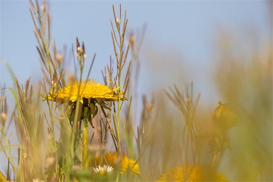 收到红包的心情的句子