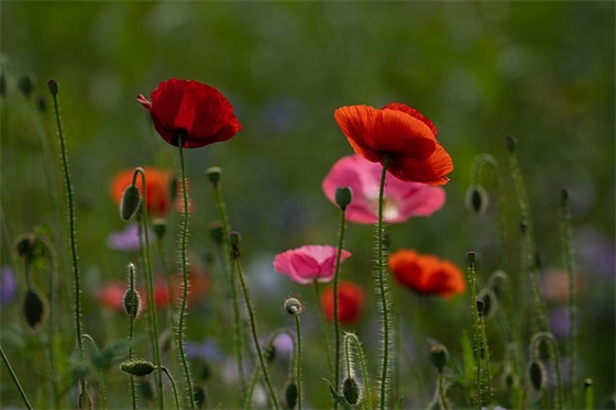 自我反省的句子78句