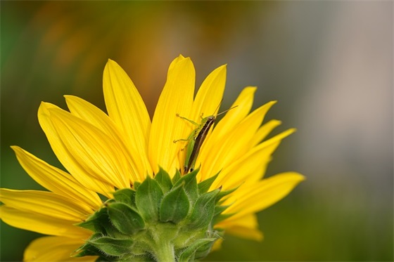 家中听歌难过的伤心句子