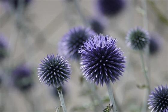 爱格文艺句子 爱格句子